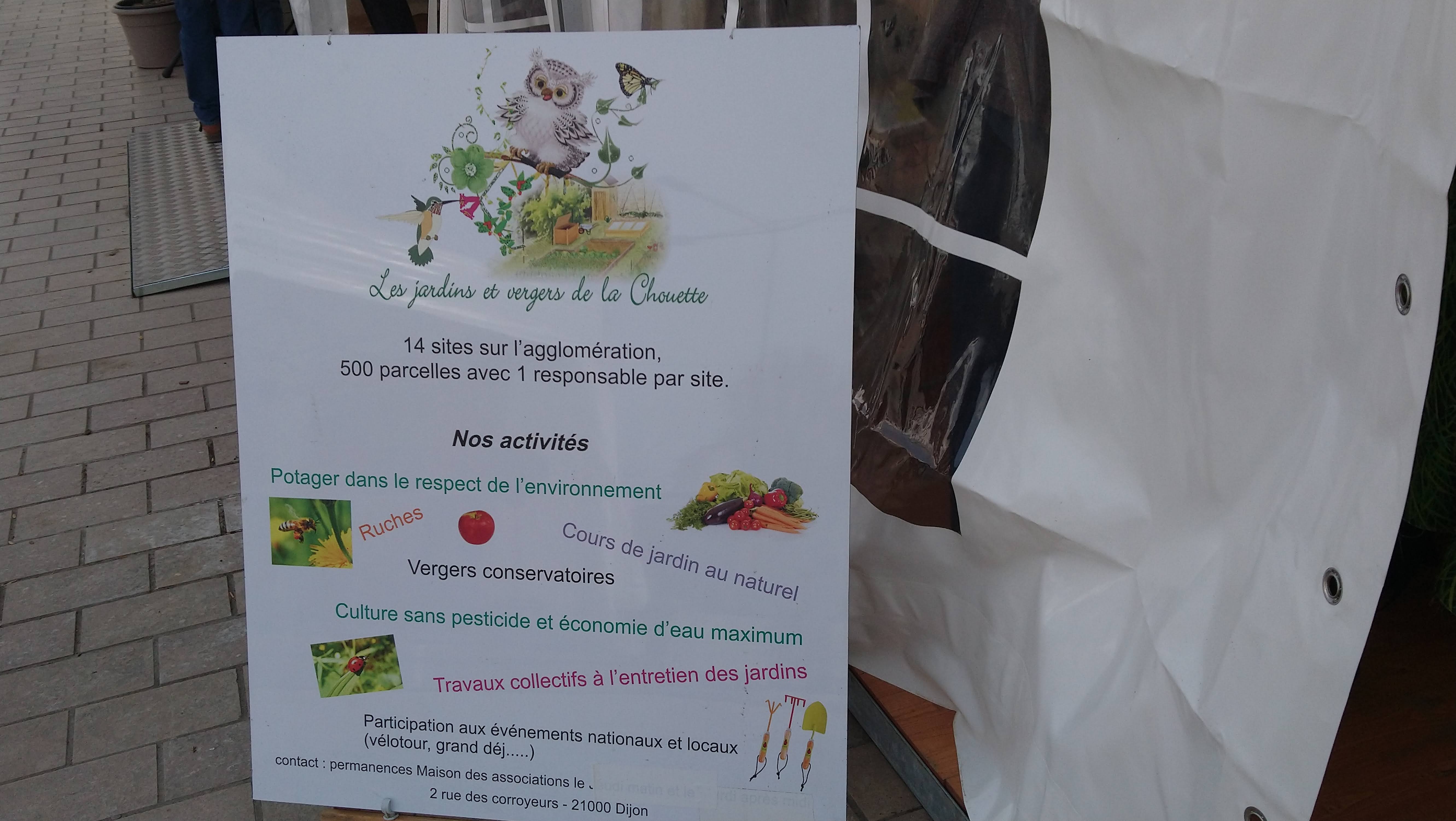 nos activités